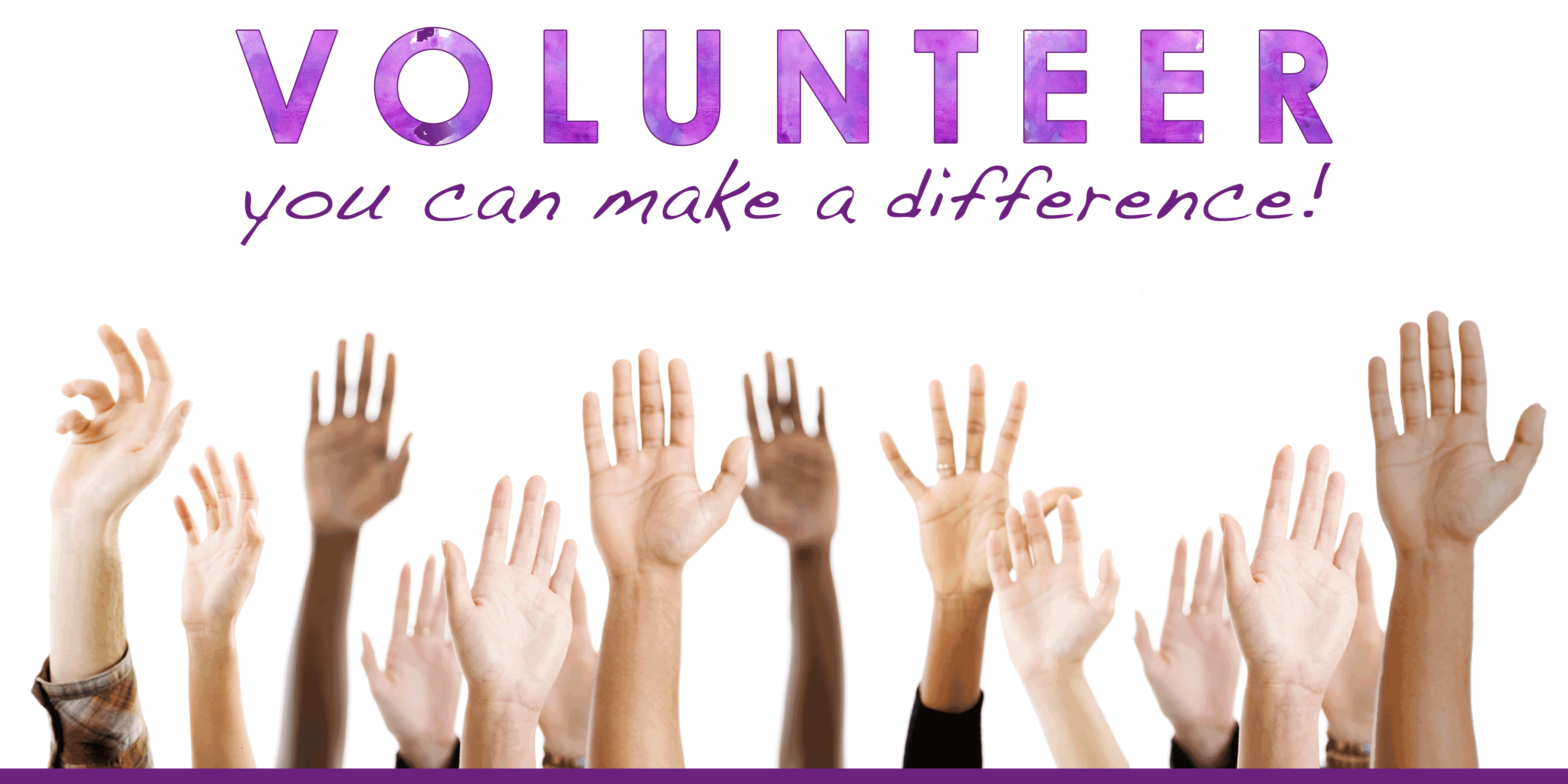 Volunteer Information Parent Teacher Organization (PTO)